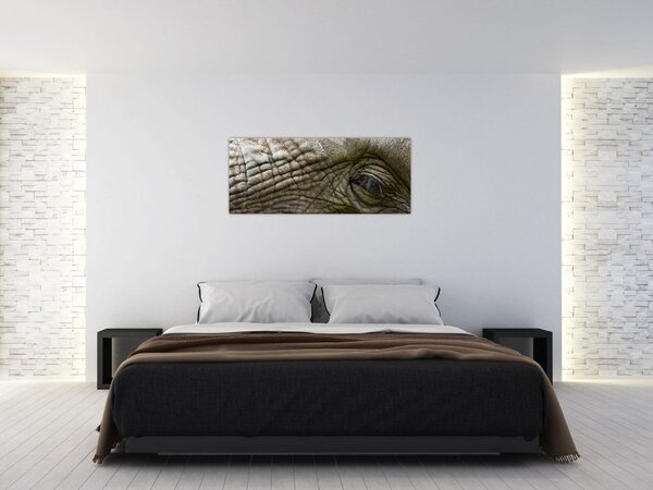 Obraz - Detailné fotografie starého slonieho oka (120x50 cm)