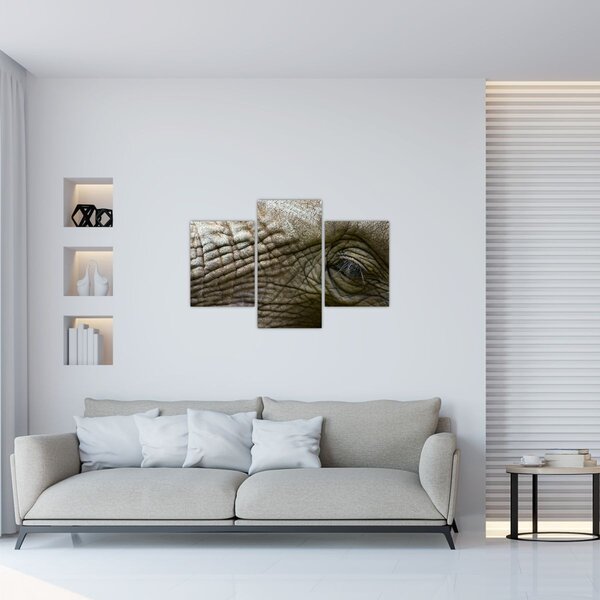 Obraz - Detailné fotografie starého slonieho oka (90x60 cm)