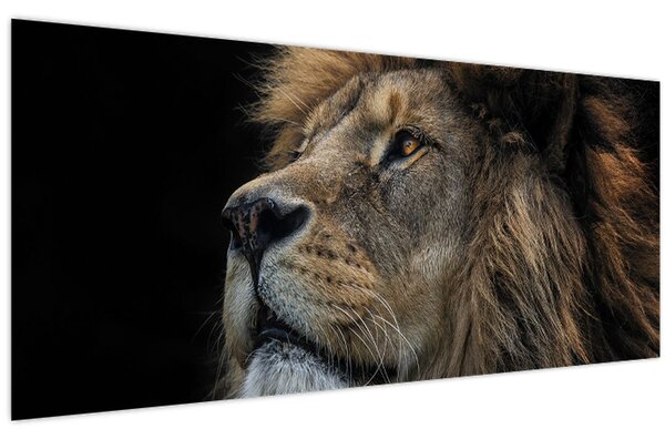 Obraz - Majestátny lev (120x50 cm)