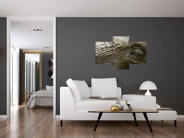 Obraz - Detailné fotografie starého slonieho oka (90x60 cm)