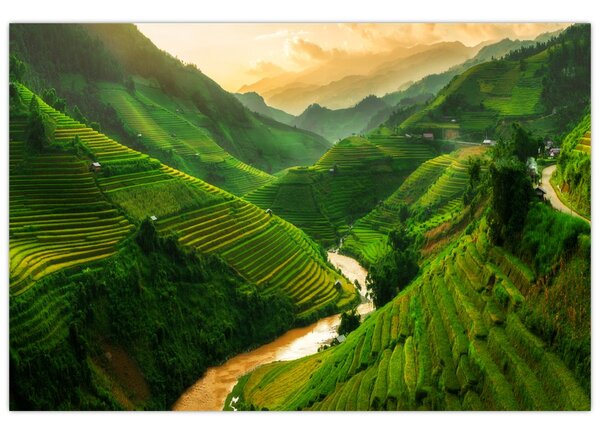 Obraz - Ryžové terasy Mu Cang Chai (90x60 cm)