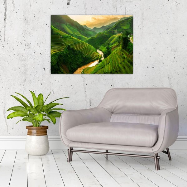 Obraz - Ryžové terasy Mu Cang Chai (70x50 cm)