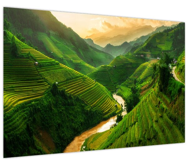 Obraz - Ryžové terasy Mu Cang Chai (90x60 cm)