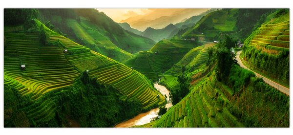 Obraz - Ryžové terasy Mu Cang Chai (120x50 cm)