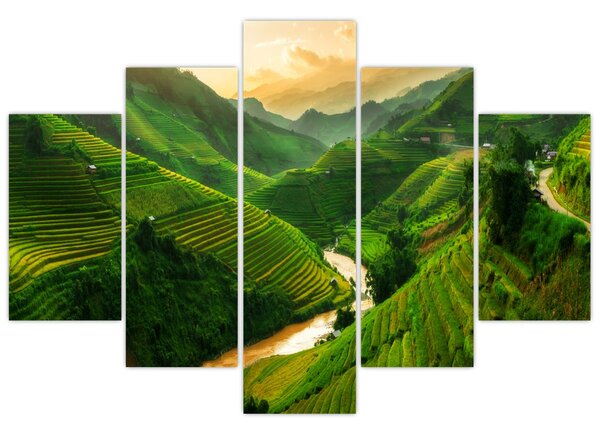 Obraz - Ryžové terasy Mu Cang Chai (150x105 cm)