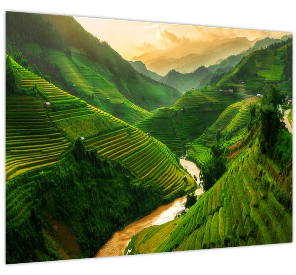 Obraz - Ryžové terasy Mu Cang Chai (70x50 cm)