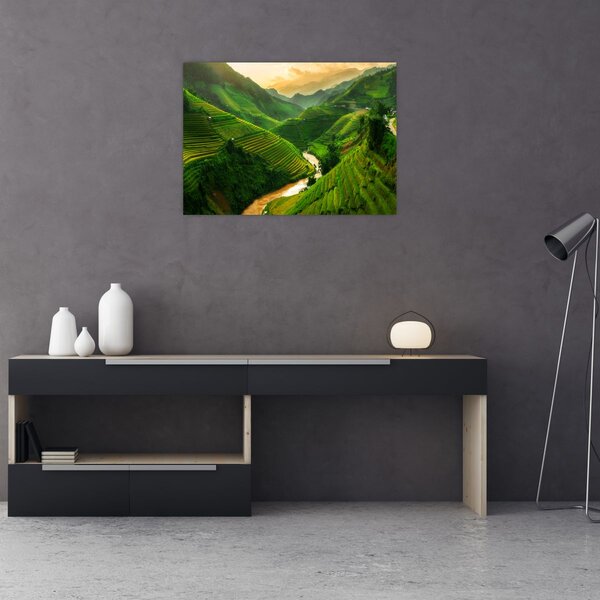 Obraz - Ryžové terasy Mu Cang Chai (70x50 cm)