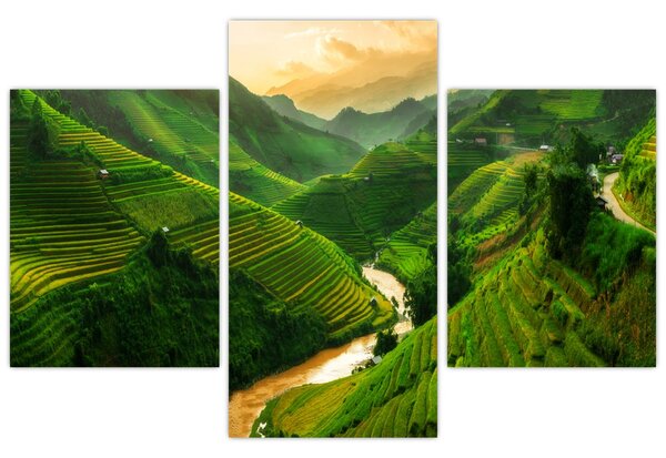 Obraz - Ryžové terasy Mu Cang Chai (90x60 cm)