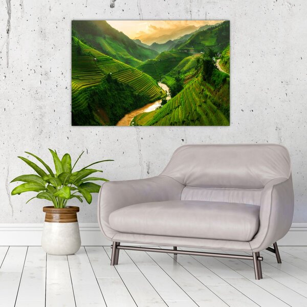 Obraz - Ryžové terasy Mu Cang Chai (90x60 cm)