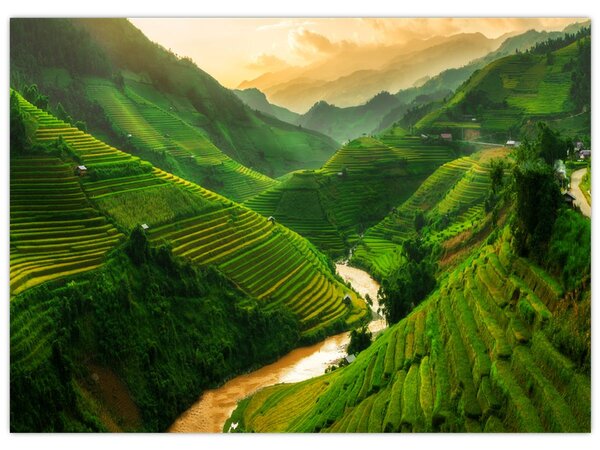 Obraz - Ryžové terasy Mu Cang Chai (70x50 cm)