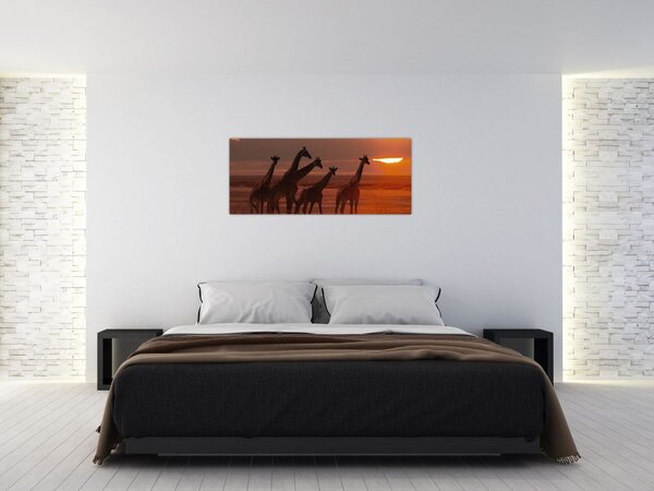 Obraz - Žirafy v africkej savane (120x50 cm)
