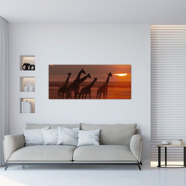 Obraz - Žirafy v africkej savane (120x50 cm)
