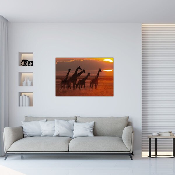 Obraz - Žirafy v africkej savane (90x60 cm)