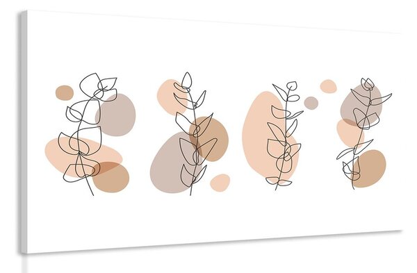 Obraz minimalistické zátišie rastliniek