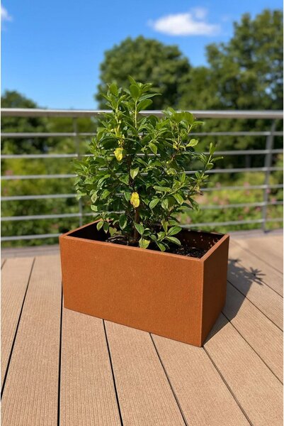Hrantík MAXI, corten, šírka 60 cm, hnedý