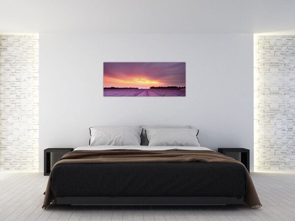Obraz - Levanduľové pole (120x50 cm)