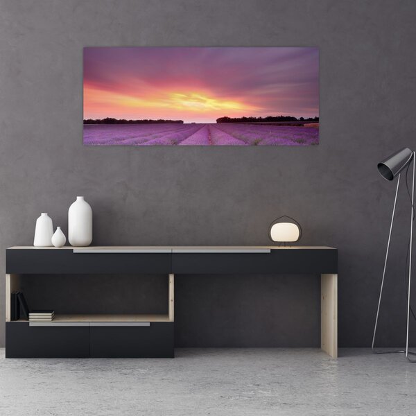 Obraz - Levanduľové pole (120x50 cm)