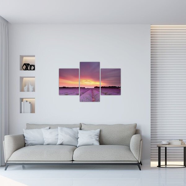 Obraz - Levanduľové pole (90x60 cm)