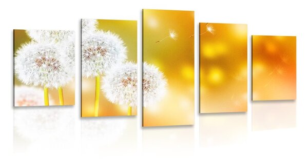 5-dielny obraz nadýchaná púpava