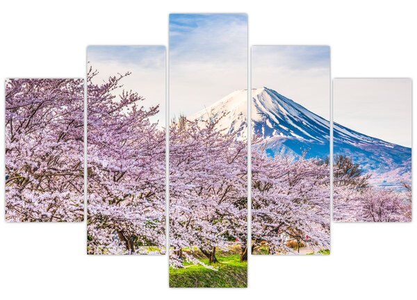 Obraz - Japonsko na jar (150x105 cm)