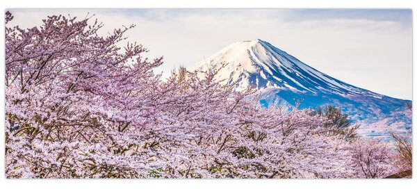 Obraz - Japonsko na jar (120x50 cm)