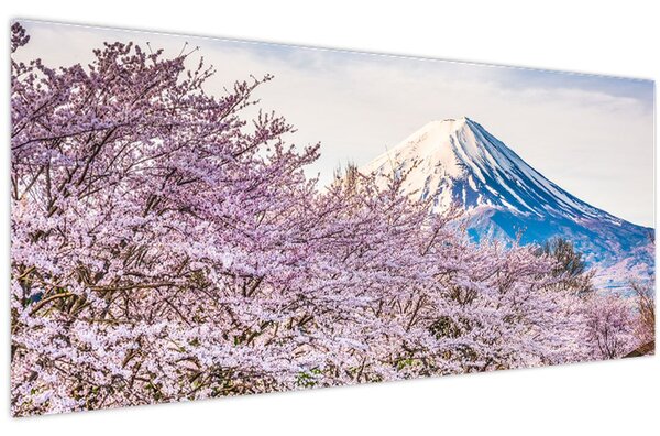 Obraz - Japonsko na jar (120x50 cm)