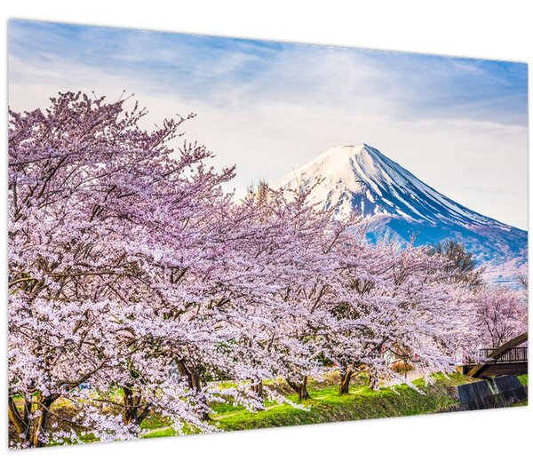 Obraz - Japonsko na jar (90x60 cm)