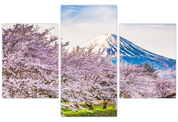 Obraz - Japonsko na jar (90x60 cm)