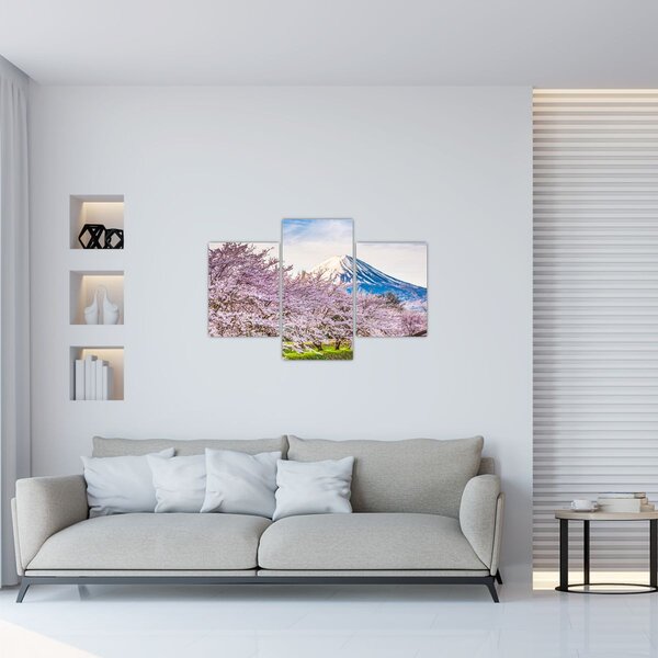 Obraz - Japonsko na jar (90x60 cm)