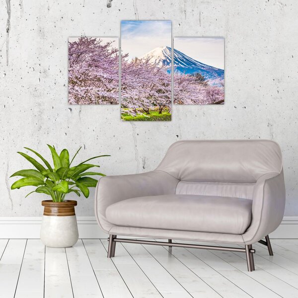 Obraz - Japonsko na jar (90x60 cm)