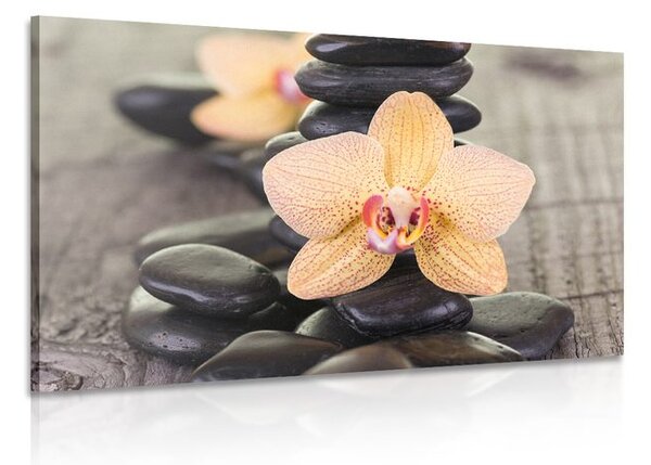 Obraz žltá orchidea a Zen kamene