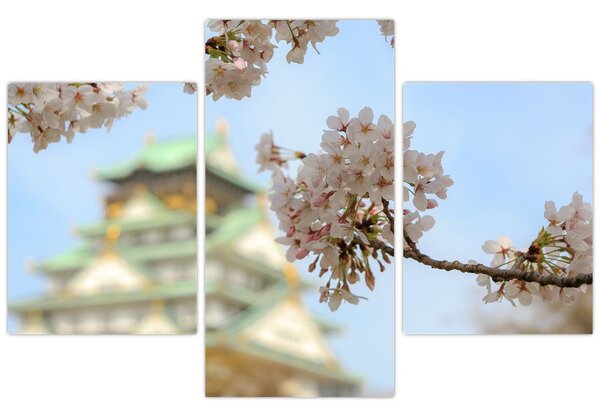 Obraz - Sakura (90x60 cm)