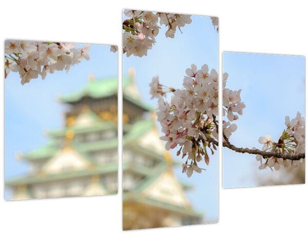 Obraz - Sakura (90x60 cm)