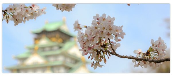 Obraz - Sakura (120x50 cm)