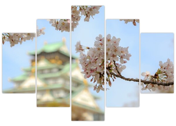 Obraz - Sakura (150x105 cm)