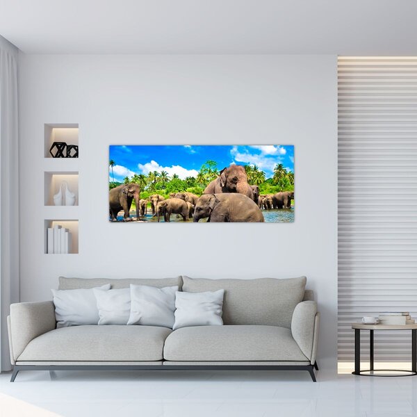 Obraz - Slony, Sri Lanka (120x50 cm)