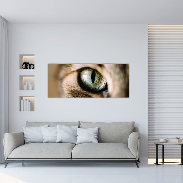 Obraz - Mačacie oko (120x50 cm)