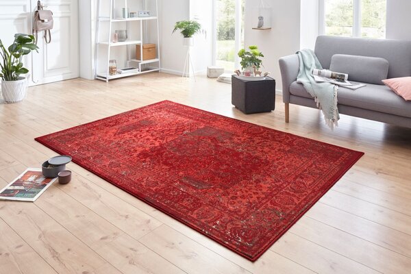 Hanse Home , Kusový koberec Celebration 103467 Plume Red, 80x150, červená, chodba / predsieň