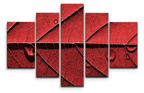Sablio Obraz - 5-dílný Červený list - 125x90 cm