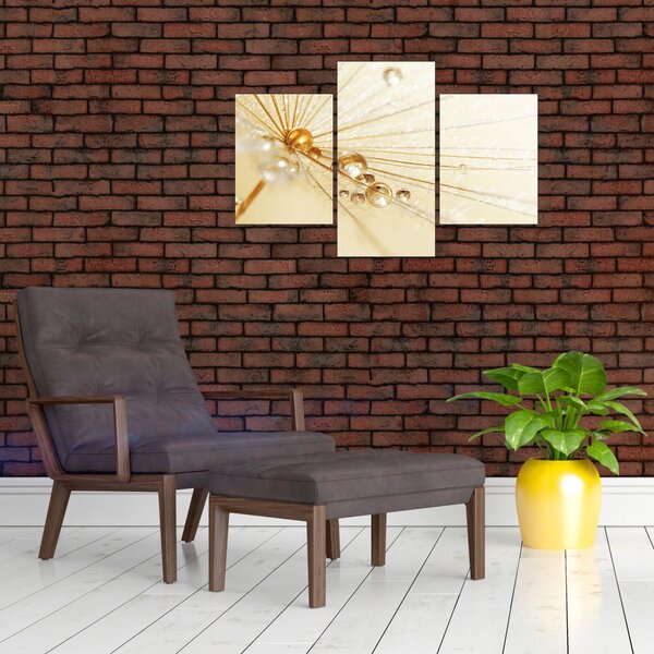 Obraz - Makro fotografie púpavy (90x60 cm)