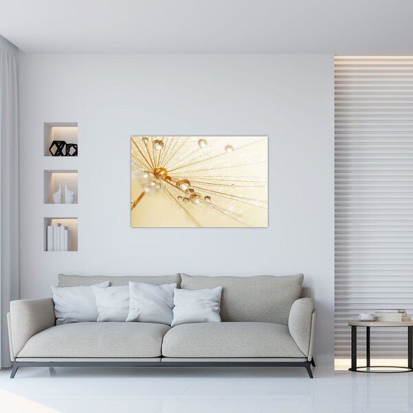 Obraz - Makro fotografie púpavy (90x60 cm)