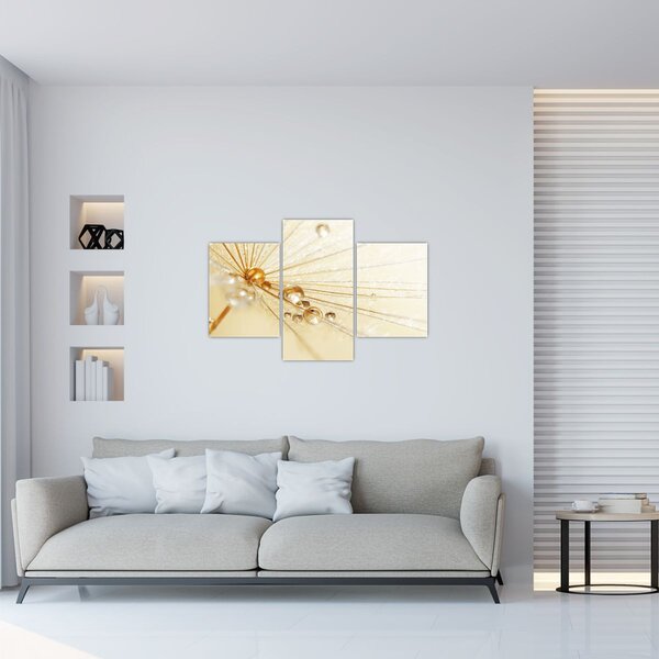 Obraz - Makro fotografie púpavy (90x60 cm)