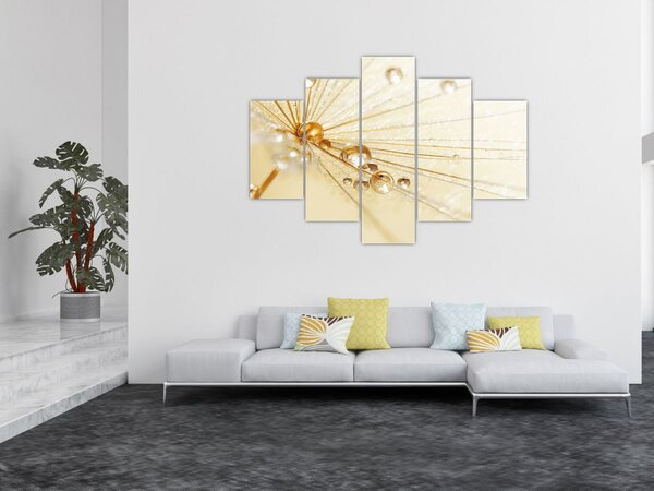 Obraz - Makro fotografie púpavy (150x105 cm)