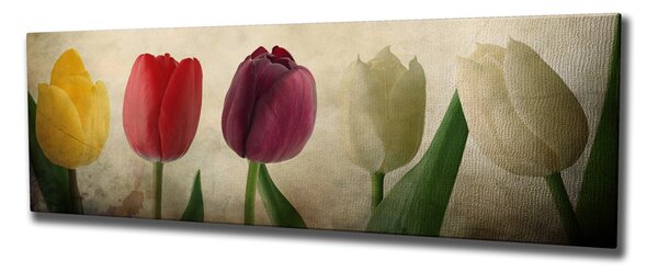 ASIR Obraz na plátne TULIPÁN 80 x 30 cm
