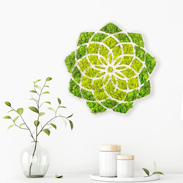 ASIR Nástenná dekorácia z machu SLNKO 44 cm MDF