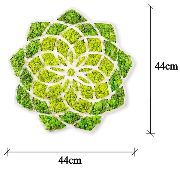ASIR Nástenná dekorácia z machu SLNKO 44 cm MDF