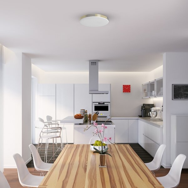 Stropné LED svietidlo Bever, 1x LED 10w, 4000k, g