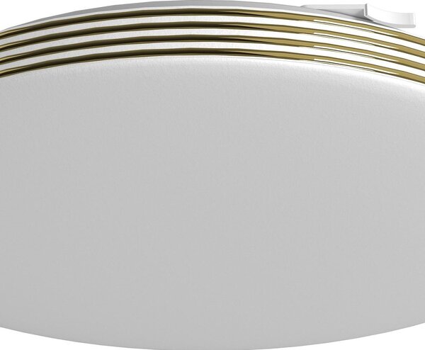 Stropné LED svietidlo Bever, 1x LED 10w, 4000k, g