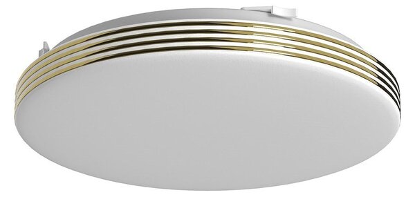 Stropné LED svietidlo Bever, 1x LED 10w, 4000k, g