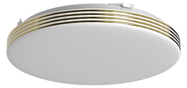 Stropné LED svietidlo Bever, 1x LED 10w, 4000k, g
